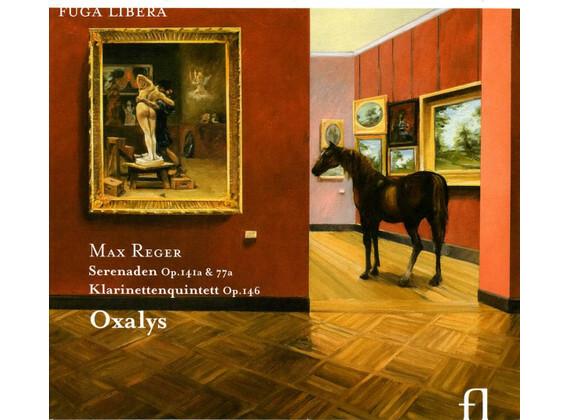 Acheter Max Reger, Oxalys - Serenaden, Op. 141a & 77a : Klarinettenquintett, Op. 146 État correct - 10,22 € Max Reger, Oxalys - Serenaden, Op. 141a & 77a : Klarinettenquintett, Op. 146 État correct - reconditionné disponible sur Label Emmaüs